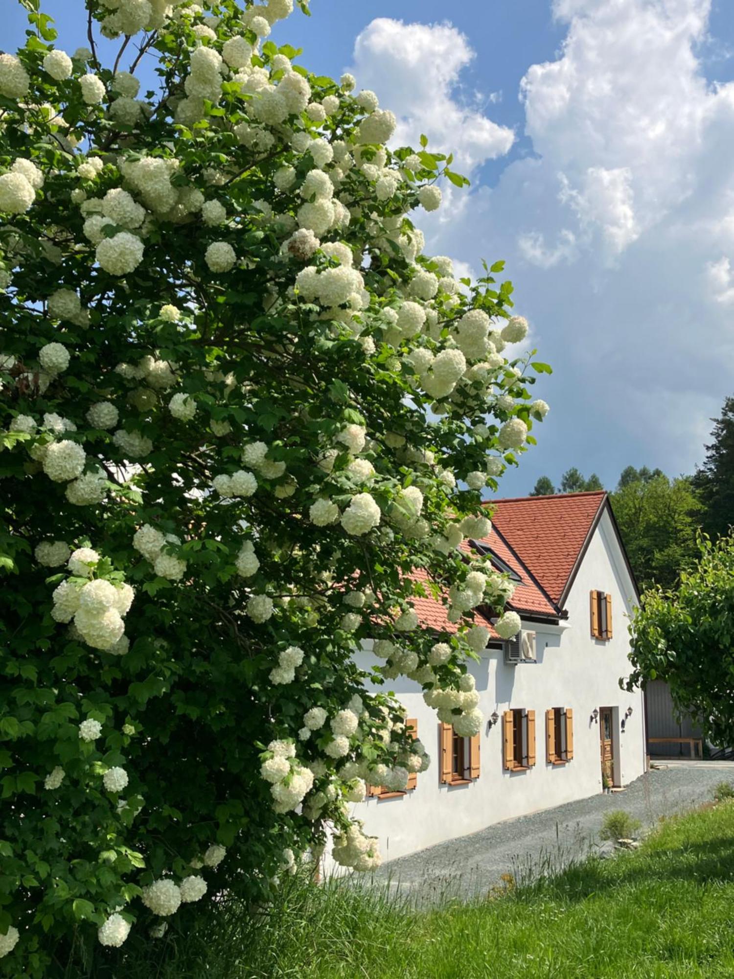 Der Hof Am Wald Villa Weichselbaum Eksteriør bilde