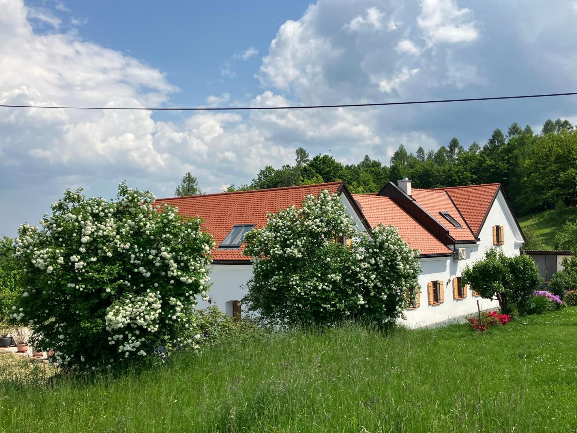 Der Hof Am Wald Villa Weichselbaum Eksteriør bilde