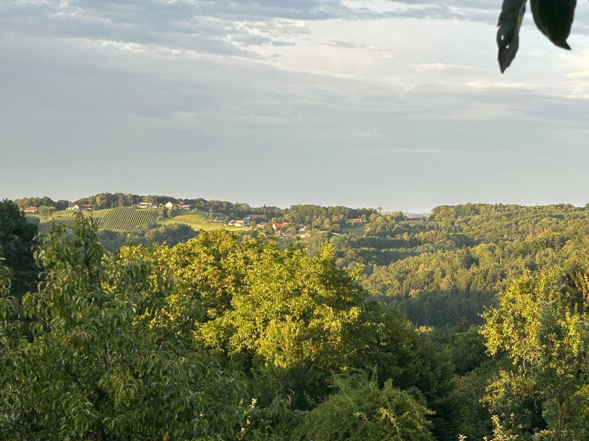 Der Hof Am Wald Villa Weichselbaum Eksteriør bilde